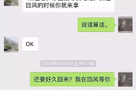 淮北为什么选择专业追讨公司来处理您的债务纠纷？